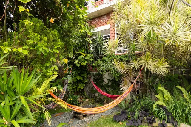 A hammock strung between palms and ferns in the lush garden.