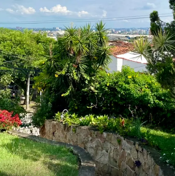 Morning view from the garden: a curved stone wall, lawn, red flowers and Cali's skyline.